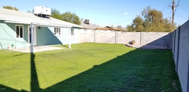 4th back yard