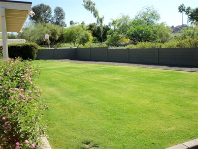 another view of yard