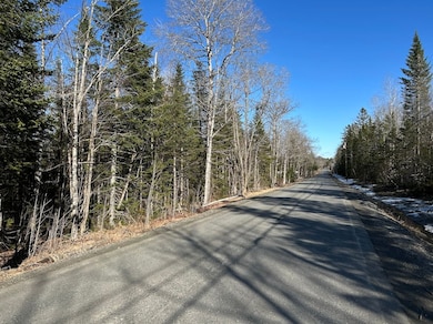 0 Silvers Mills Rd unit LotWP001 23320211, Sangerville, ME 04479 - photo 7