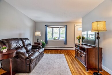 234 Saint Nicholas Ave, Worcester, MA 01606 - photo 5