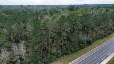 11948 Highway 190, Bon Wier, TX 75928 - photo 4