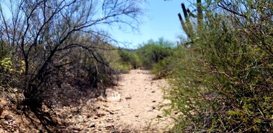 WASH AREA ALONG SOUTH PROPERTY LINE