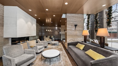 Newberry Plaza unit 34D, Chicago, IL 60610 - photo 2