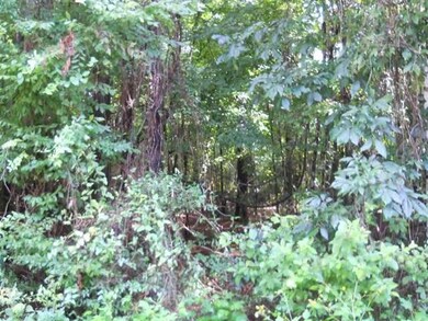 xx Dr Martin Luther King Rd, Crawfordville, FL 32327 - photo 3