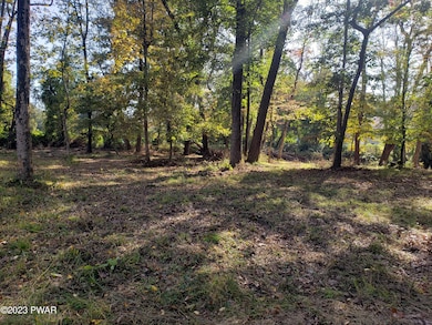 1070 Delaware Dr, Matamoras, PA 18336 - photo 6