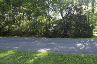 0 Lucy Wade Rd unit 921164, Rocky Mount, VA 24151 - photo 4