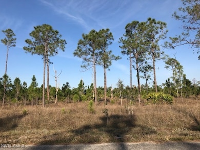 View of nature