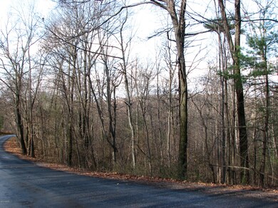 0 Tower Rd, Liberty Township, PA 17821 - photo 5