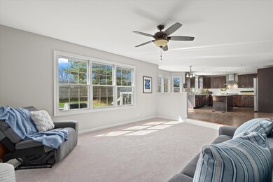 4832 Fesseneva Ln, Naperville, IL 60564 - photo 6