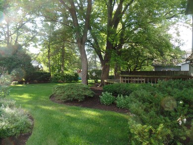 1545 Swallow St, Naperville, IL 60565 - photo 5