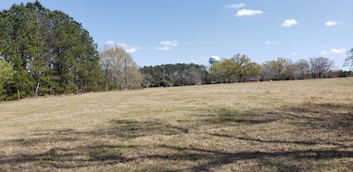 716 Augusta Rd, Edgefield, SC 29824 - photo 2