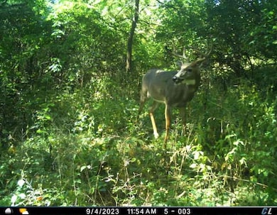 15.1 ac Wisconsin 78, Blanchardville, WI 53516 - photo 3