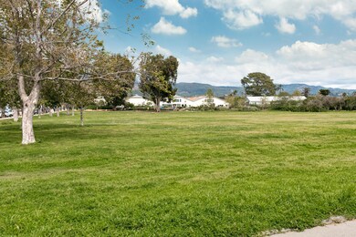 Park