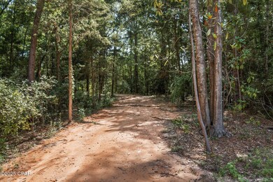 XXX Sinclair St, Chipley, FL 32428 - photo 4