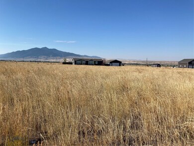 Ruby Mountains in Background