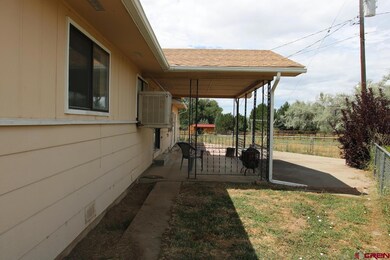 920 S Grand Mesa Dr, Cedaredge, CO 81413 - photo 6