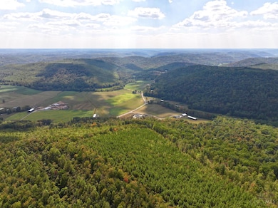 0 St Rt 348 unit 1855893, Jefferson Township, OH 45657 - photo 5