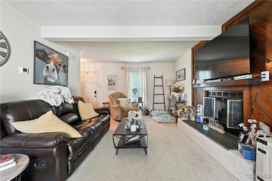Living room featuring a glass covered fireplace, c