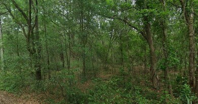 8856 N Himalayas Point, Dunnellon, FL 34433 - photo 5