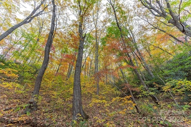 TBD Summer Haven Rd unit 1-6, Swannanoa, NC 28778 - photo 4