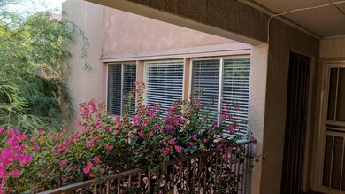 IMG_20171016_150955