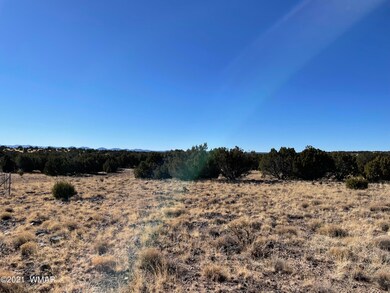 -097 ACR N8492 Concho