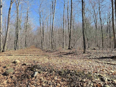 Map 3 Lot 18-2b and 18-2c Water St, Strafford, NH 03884 - photo 7