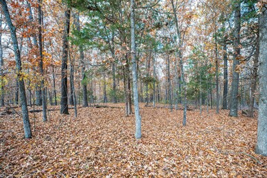 Tbd Whispering Hill Dr, Pine A Township, MO 65611 - photo 6