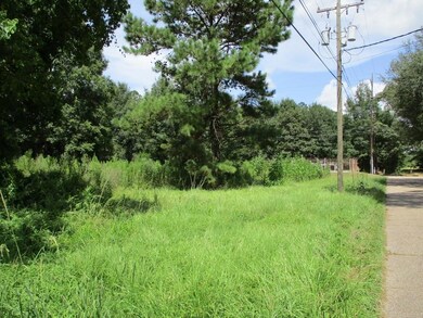 0 Main St, Franklinton, LA 70438 - photo 6