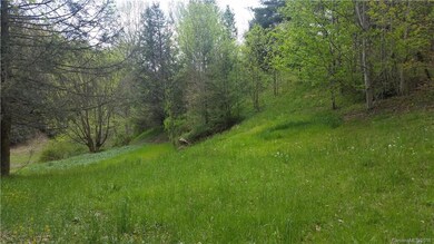 1628 Phipps Creek Rd, Burnsville, NC 28714 - photo 7