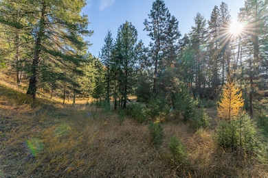 156 Peters Creek Way, Kalispell, MT 59901 - photo 5