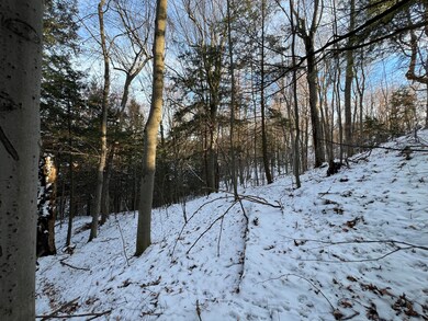 . Lewis Rd, Chateaugay, NY 12920 - photo 4