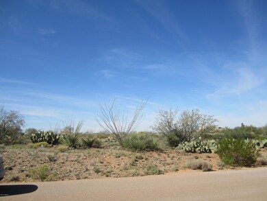 231 N Vail View Road
