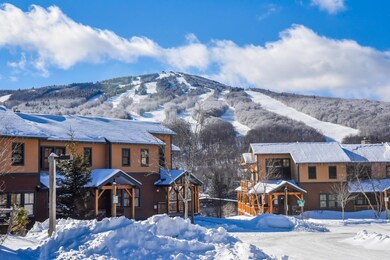 1C Ego Aly, Dover, VT 05356 - photo 2