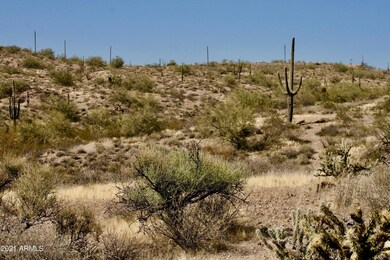 IMG_9348