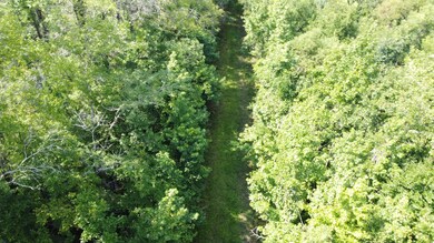 DJI_0181