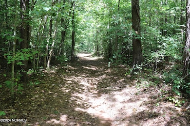 0 Coxe Rd unit 100517165, Tryon, NC 28782 - photo 7