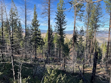 0 16 Acres unit 25-5180, Janesville, CA 96130 - photo 2