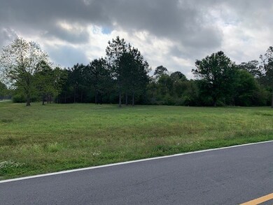 0 Mcmillan Rd, Ochlocknee, GA 31773 - photo 4