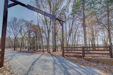 timber trail-10