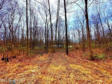 327 Maple Rd, Effort, PA 18330 - photo 5