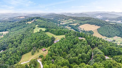 DJI_0517