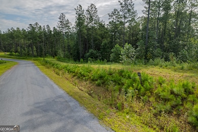 Lot 195 Blalock Mountain Rd, Talking Rock, GA 30175 - photo 4