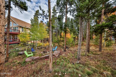 870 Ferret Ln, Fraser, CO 80442 - photo 7