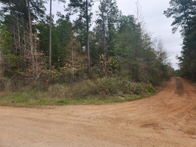 Lot 1 Yupon Branch Ln, Plantersville, TX 77363 - photo 2