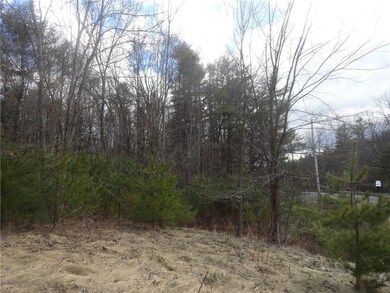 Lot 11 Joy Valley Rd, Buxton, ME 04093 - photo 4