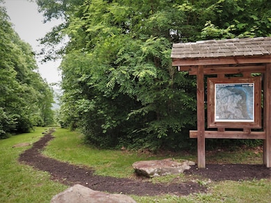 210 Red Oak Rd, Fayetteville, WV 25840 - photo 5