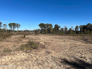 0 Warren Cook Rd, Mendenhall, MS 39114 - photo 4