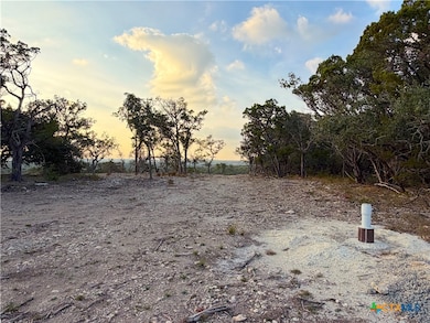 100 Acres N Cranes Mill Rd, Canyon Lake, TX 78133 - photo 6