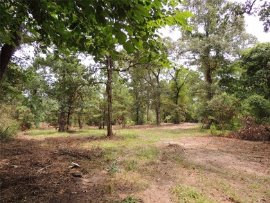 Lot 32C and 33A Rose Cir, Magnolia, TX 77355 - photo 7